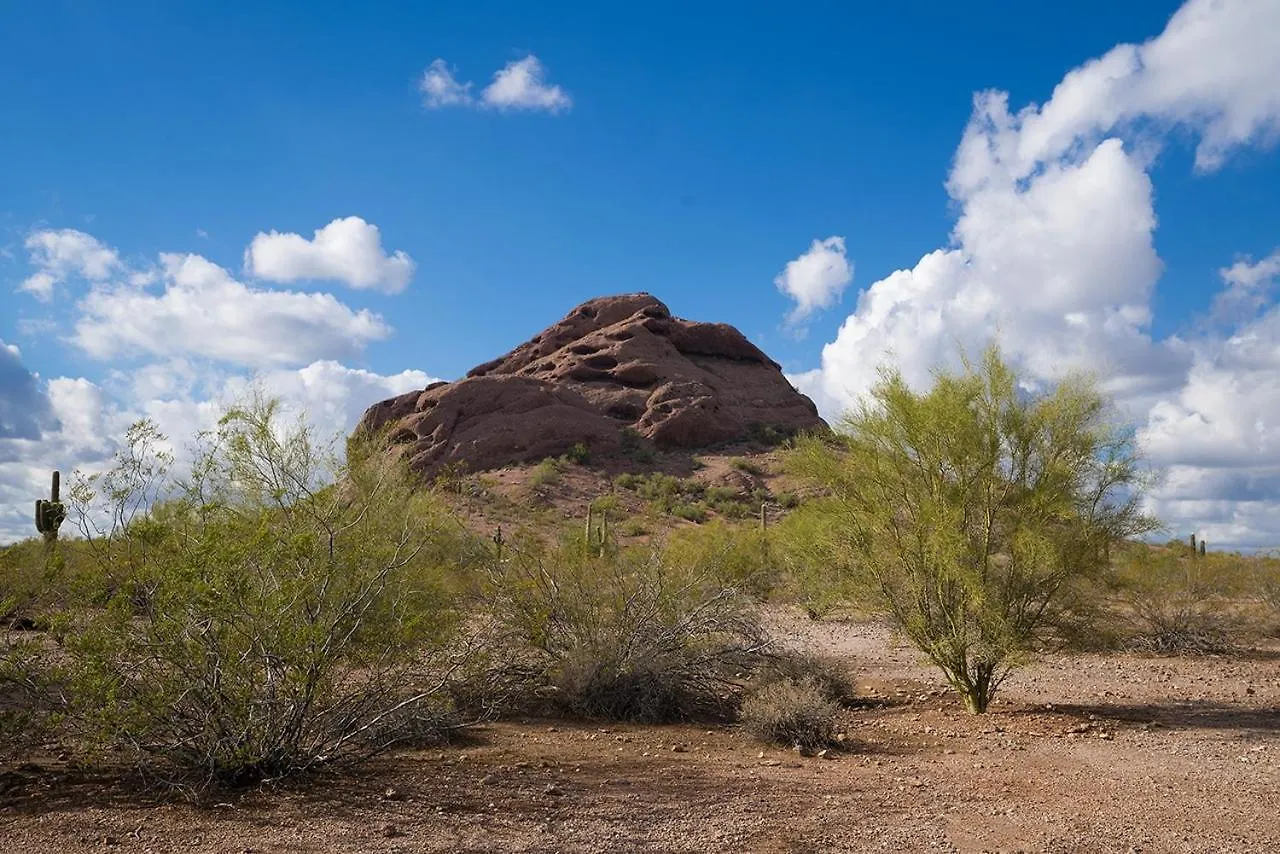 Appartamento 239-Fully Furnished, Wifi Included Scottsdale